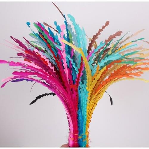 Multiple Colors 100Pcs/Lot Colored 25-30Cm Shaped Loose COQUE ROOSTER TAIL FEATHERS Long Feathers for Fascinator Hats Millinery