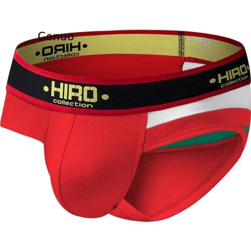 4 Color Striped Cotton Sexy Men Undrewear Briefs Men Bikini Pure Cotton Slip Pouch Underpants High Quality Shorts G113