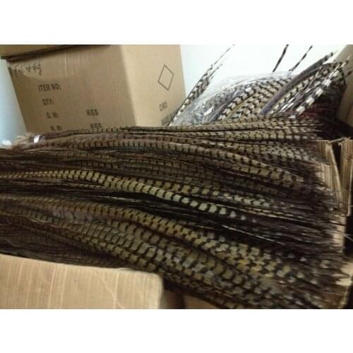 Wholesale perfect 50pcs high quality natural female Pheasant feathers 28-32inch/70-80cm Decorative diy