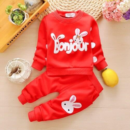 Baby Cotton Clothes Suit Fashion Baby Girl Outfits 2pcs Top +Pant Cartoon Clothing Set Spring Autumn Childrens Clothing Set
