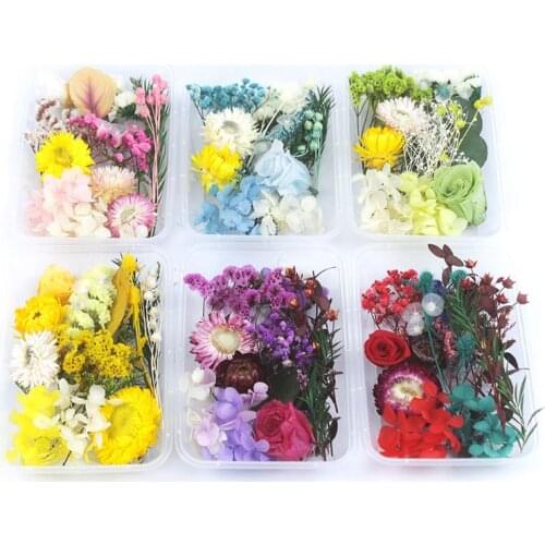 1 Box Real Mix Dried Flowers for Resin Jewellery Dry Plants Pressed Flower DIY