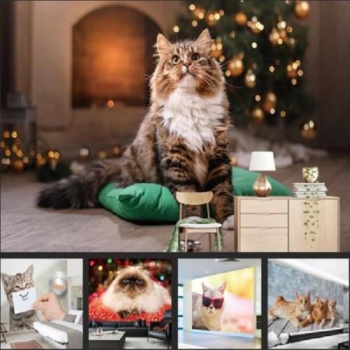 Custom Photo Cartoon Cute Cat Murals Wallpaper Walls Roll Modern Simple Living Room Bedroom Wall Papers Home Decor Painting