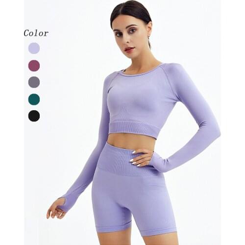 Two Piece Suit Women Seamless Women Yoga Set Gym Clothing Workout Sportswear High Waist Seamless Leggings Fitness Sport Crop Top