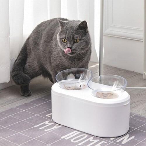 Pet Automatic Feeder Dispenser Protection Cervical Double Bowl Cat Bowl Dog Bowl Transparent Plastic Non-slip Food Bowl