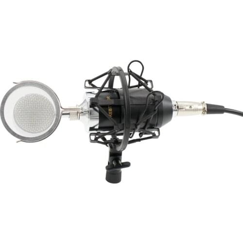 BM8000 Professional Sound Studio Recording Condenser Microphone with 3.5mm Plug Stand Holder