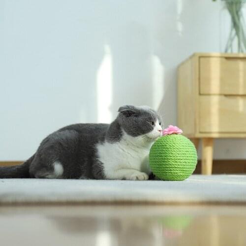 Catnip Toy Cat Scratching Ball Toys Cactus Sisal Tumbler Kitten Toy Cats Interactive Toys With Catnips Supplies Pet Accessories