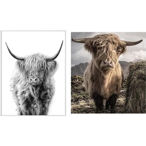 2 set Diamond Painting Highland Cow 5D Diamond Painting Art - Round Diamond & Square Diamond