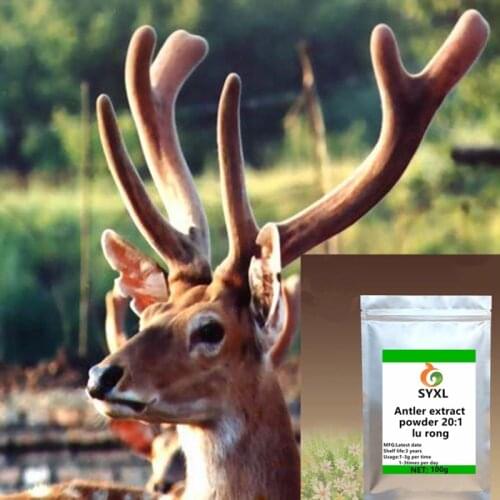 Natural deer velvet antler extract/cornu cervi pantotrichum powder velvet antler extract/cartialgenous powder free shipping