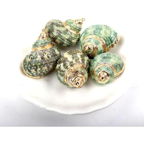 Green Natural Spiral Shell Gold Plated SeaShells for DIY handmade Home decoration jewelry making 5pcs 20-30mm