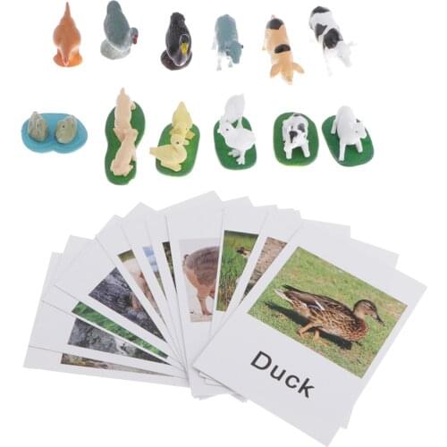 Montessori Animal Match Card - Miniature Farm Animals with Matching Cards - Kids