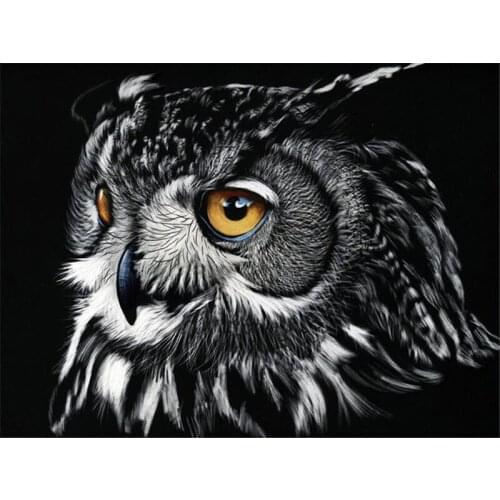 Full Square/Round Diamond Painting New Arrival Beautiful Owl Face Handmade Gift Diamond Embroidery Animal Home Decor