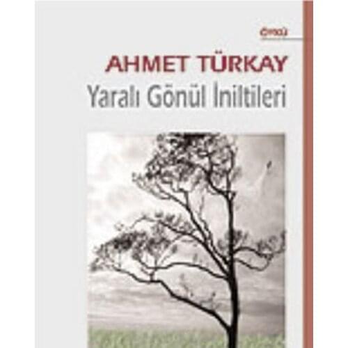 Injured Heart İniltileri John Turkay Berfin Publications Story Sequence (TURKISH)