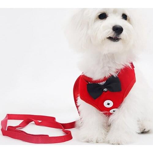 3 in 1 Small Dog Harness and Leash Set Bowknot Buttons Vest No Pull Pet Harness with Soft Mesh Nylon Vest for Small Dogs Cats