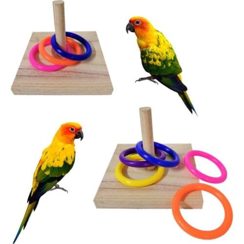 Pet Bird Educational Interactive Toy Parrot Wooden Platform Plastic Ring Intelligence Training Chew Puzzle Toy
