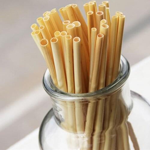 1100 Pcs Natural Wheat Straw Kitchen Bar Tool Accessories Straws Biodegradable Eco-Friendly Portable Drinking Straw