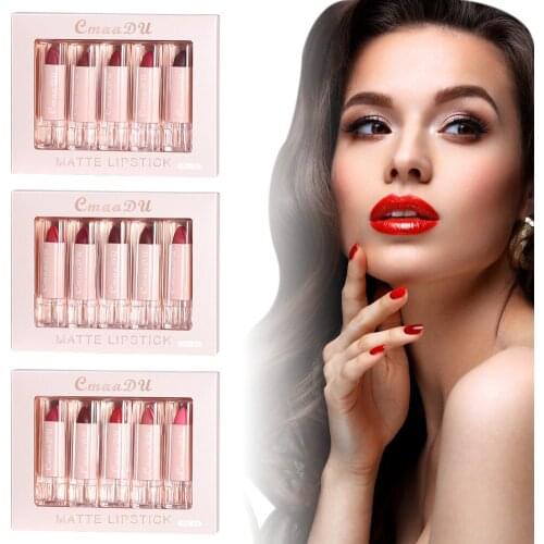 5Pcs Lip Stick Set 5 Colors Matte Lip Glaze Waterproof Non Sticky Long Lasting Lip Gloss Lipstick Set Makeup Cosmetics