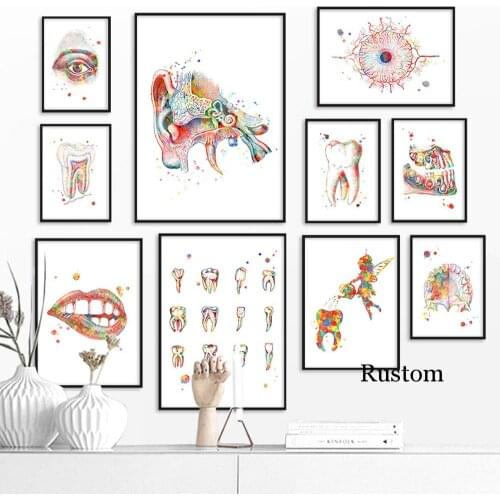 Dentistry Poster Graffiti Nordic Canvas Wall Art Biological Style Painting for Interior Art Prints for Bedroom Frameless Home