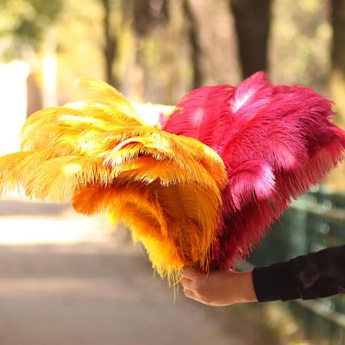 Pulaqi Decorative Feathers