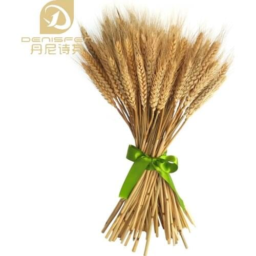 Denisfen Products For The Holiday