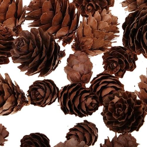 Pine Cones, Mini Pinecones in Bulk for Crafts, Pack of 50 Pieces (Natural)