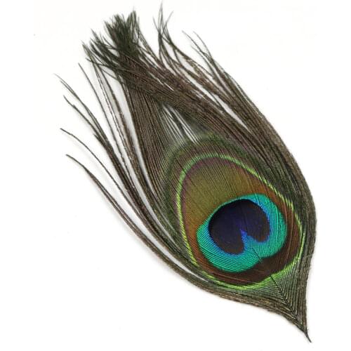 10PCS Natural Peacock Eye Feather Fly Tying Streamer Flies Body Material