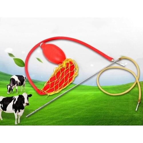 Horse Uterine Ceaner Stainless steel Rod Veterinary Pig Uterus Washing Cattle Aniaml Cow Cleaning Tools SOW FARM 2021 New VET