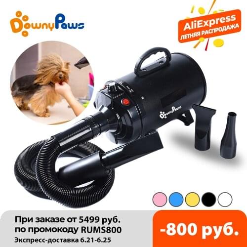 2800W Power Hair Dryer for Dogs Pet Dog Cat Grooming Blower Warm Wind Secador Fast Blow-dryer for Small Medium Large Dog Dryer