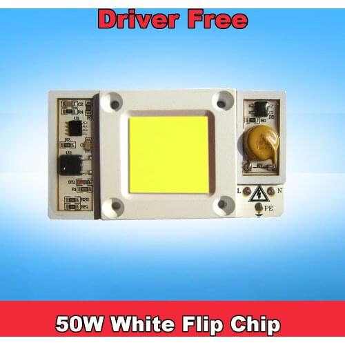 1pcs 30W 50W White 6000k Warm 3000k Neutral 4500k Cold 10000k Input AC 110V , 220V COB LED Bulb Lamp Diode Bead Light