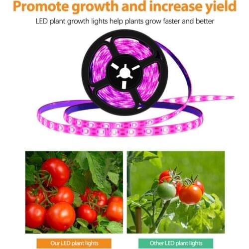 LED Grow Lamp Full Spectrum USB LED Plant Grow Strip 2835 SMD 0.5m 1m 2m 3m Waterproof Grow Lights for Indoor Plant Flower Seedl