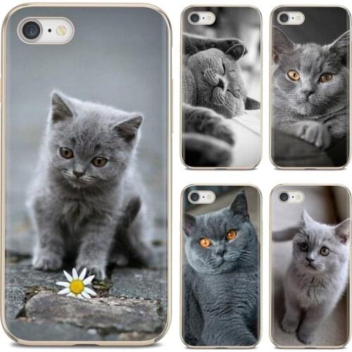 Tattoo Princess Samsung Galaxy S8 Phone Cases