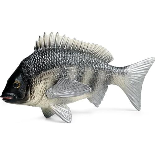Gray Tilapia Mossambica Animal Figure Collectible Toys Fish Animal Cognition Action Figures Kids Plastic Model Toys