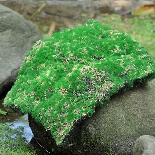 30CMX30CM Simulation Moss Turf Lawn Wall Green Fake Plant DIY Artificial Grass mat for Wedding Home Hotel Background Shop Decora