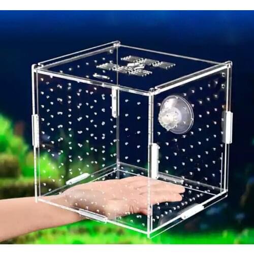 Aquarium Isolation Box Fish Tank Small Fry Breeding Box Transparent Acrylic Single Grid Double Grid Aquarium Supplies