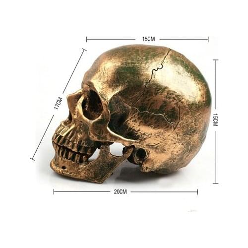 1: 1 human skull model life size resin skull model art teaching human skeleton model bronze color free shipping