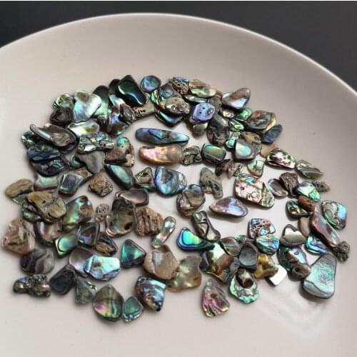 100g/lot Natural Crushed Abalone Shell Mother of Pearl shell for DIY Jewelry Crushed Shell MOP Pearl shell for fake nails