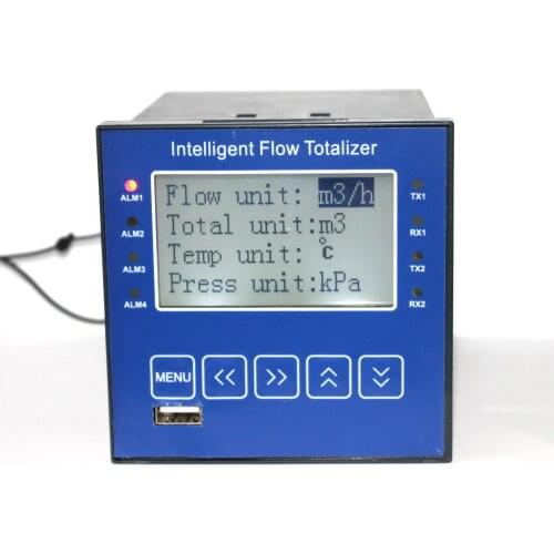 Density instrument flow rate totalizer with 220v power supply