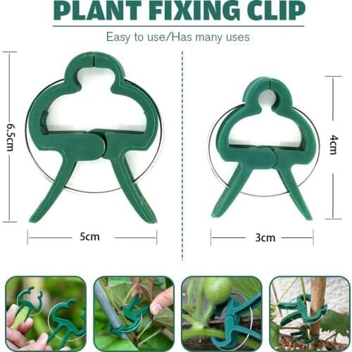 30pcs Reusable Green Garden Plant Fixed Clips For Greenhouse Vegetables Flowers Stem Vines Grape Clamp Support Fastener