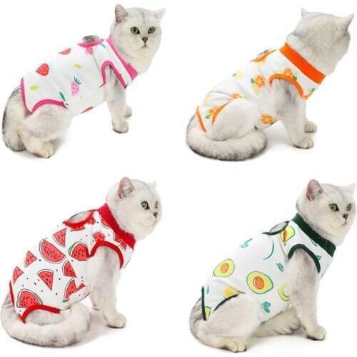 YOUDUDU Clothes For Cats