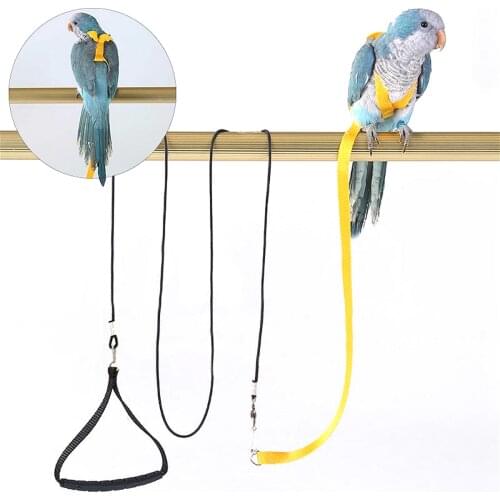 Adjustable Parrot Bird Leash Kits Ultralight Harness Anti-bite Flying Training Rope With Wing For Cockatiel Macaw Portable