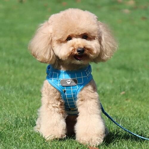 Dogs Harness Breathable Chest Strap Collar Adjustable Leash Set Dogs Leashes For Small Medium Pet Dog Training Walking