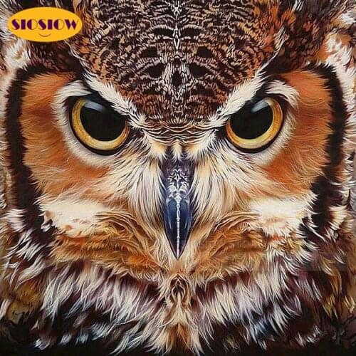 5d Diy Full Drilling Diamond Painting Cross Stitch Kits Owls 3d Diamond Embroidery Owl Animals Full Round Drill Home Decor Room