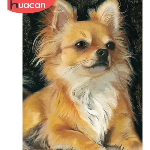 HUACAN Paint By Number Dog Hand Painted Painting Art Gift DIY Pictures By Numbers Animal Kits Drawing On Canvas Home Decor
