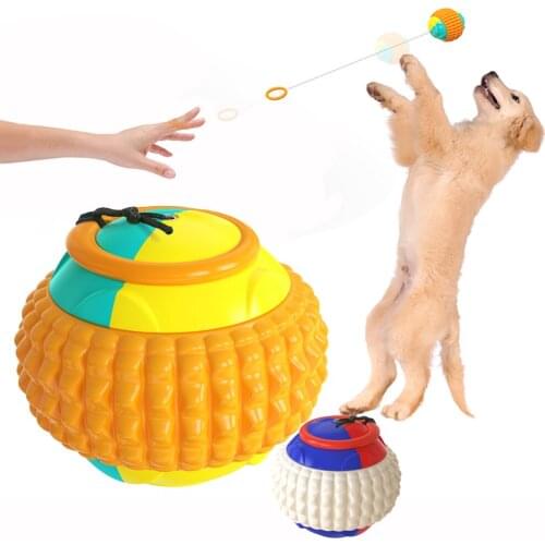 Dogs Toy Pet Ball Launcher Puppy Fetch Interactive Outdoor Durable Automatic Retractable Rope with Molar Chew