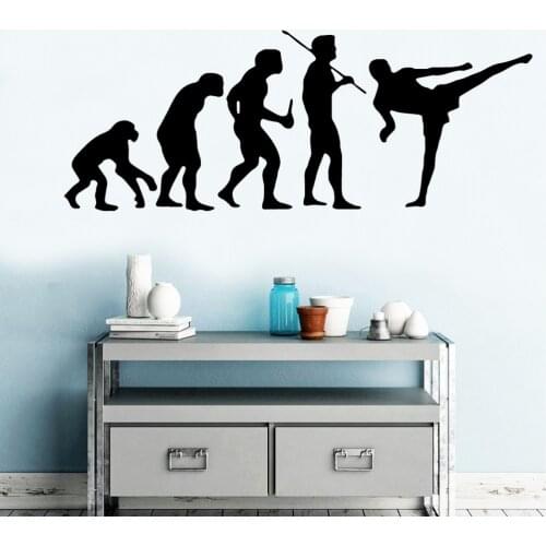 Free Shipping Evolution Tae Kwon Do Vinyl Wallpaper Roll Furniture Decorative For Living Room Bedroom Decor House Decoration