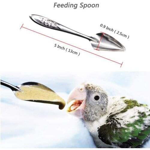 2pcs/set Bird Parrot Feeder Feeding Spoon Stainless Steel Water Milk Powder Feeder Spoons Bird Supplies