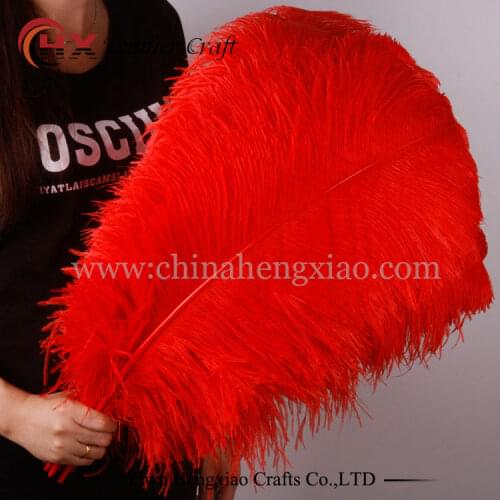 15-75CM 6-30inch All Size 10Pcs red Ostrich Feathers For Crafts Carnival Party Halloween Wedding Decorations Jewelry plumes