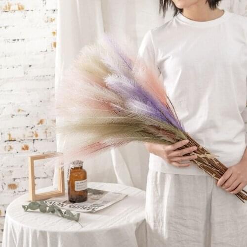 1pc Reed Pampas Grass Artificial Flower Living Room Decoration Wedding Party Layout Flower Arrangement Material