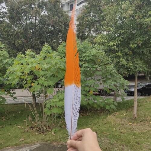 Hot Selling 50/100pcs Natural Silver Pheasant Feathers 70-75cm/28-30inches Stage Performances Decoration