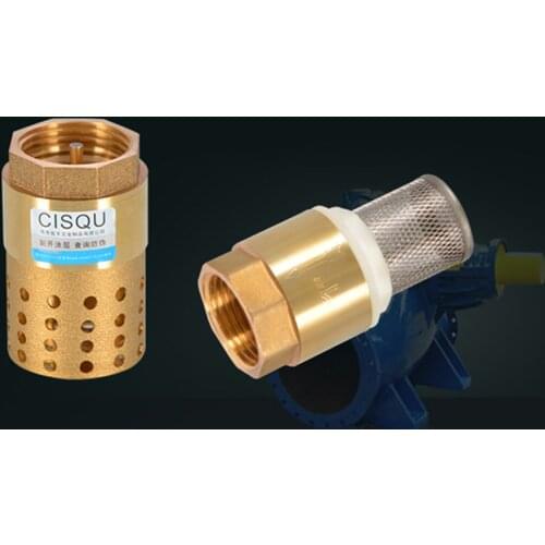 1PCS 1/2" 3/4" 1" 2" BSPP Female Brass Check Valve Non-return With Steel Strainer Filter DN15 DN25 DN40 For Water Plumbing Pump