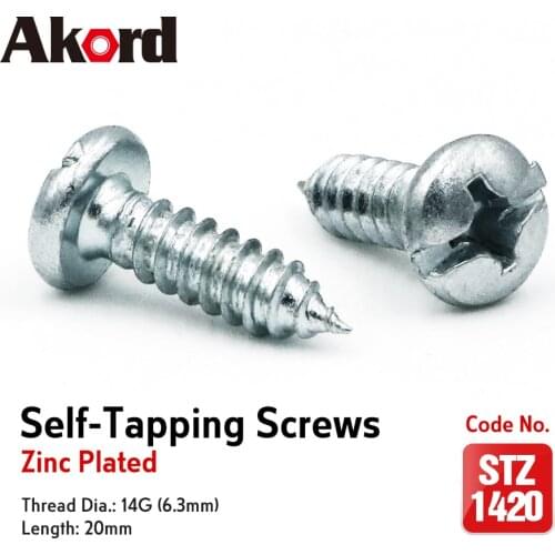 ACCORD 100PCS Self-Tapping Screws 14Gx20mm Zinc Plated with Storage Box Galvanized Steel Fasteners